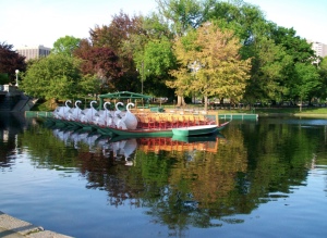 Le Swan Boat